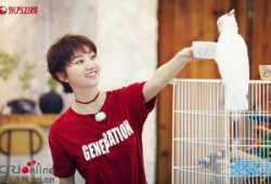 娱乐圈吃瓜王源,娱乐圈吃瓜王，揭秘明星幕后故事